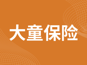 大童保险经纪有限公司